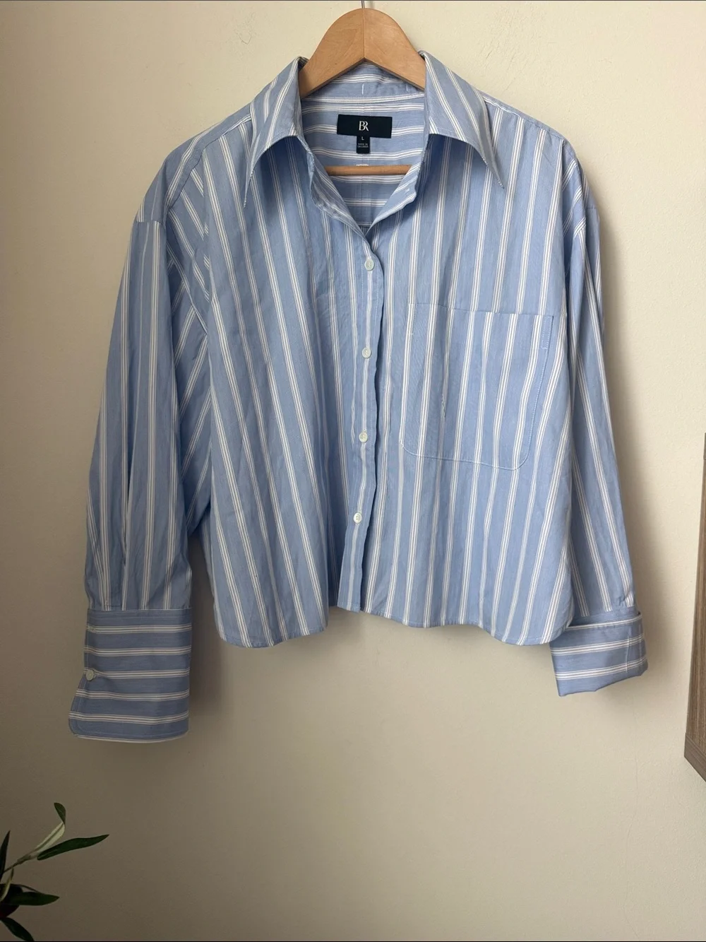 Banana Republic Light Blue & White Striped Boxy Crop Button-Down Shirt
